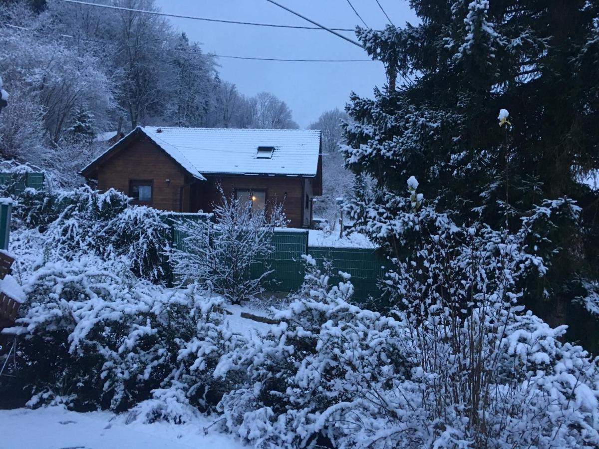 Chalet Du Champs Des Semeaux Wisches Exterior photo